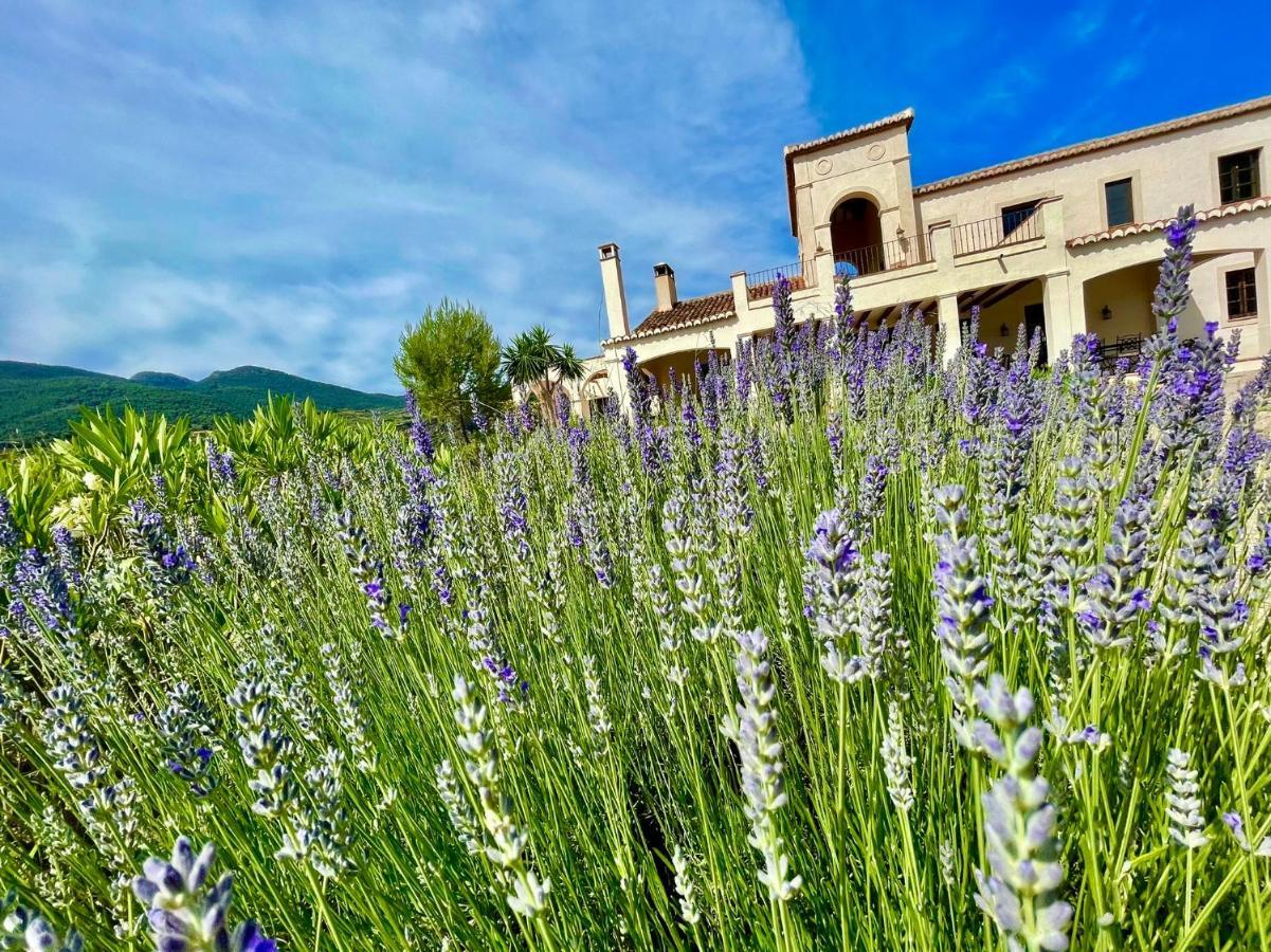 La Esperanza Granada Luxury Hacienda & Private Villa Saleres Buitenkant foto